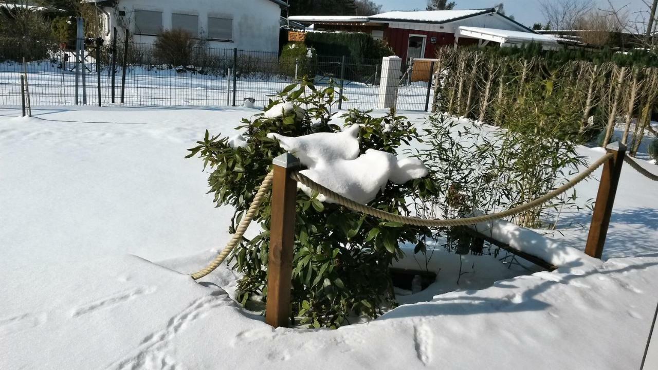 Ferienhaus Chrissy Loissin المظهر الخارجي الصورة